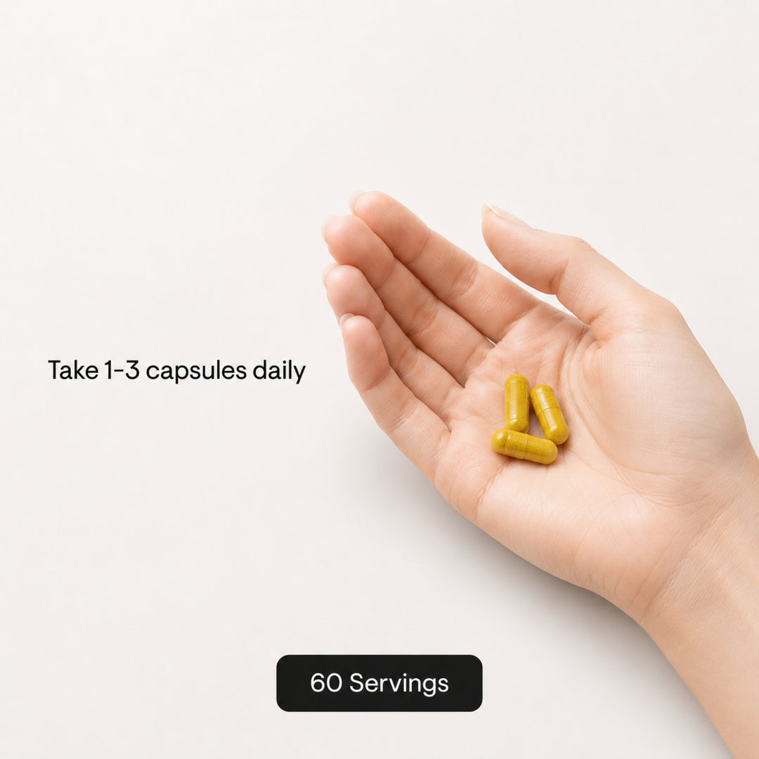 Berberine 500 mg with Rebersa™ - 60 Vegetarian Capsules