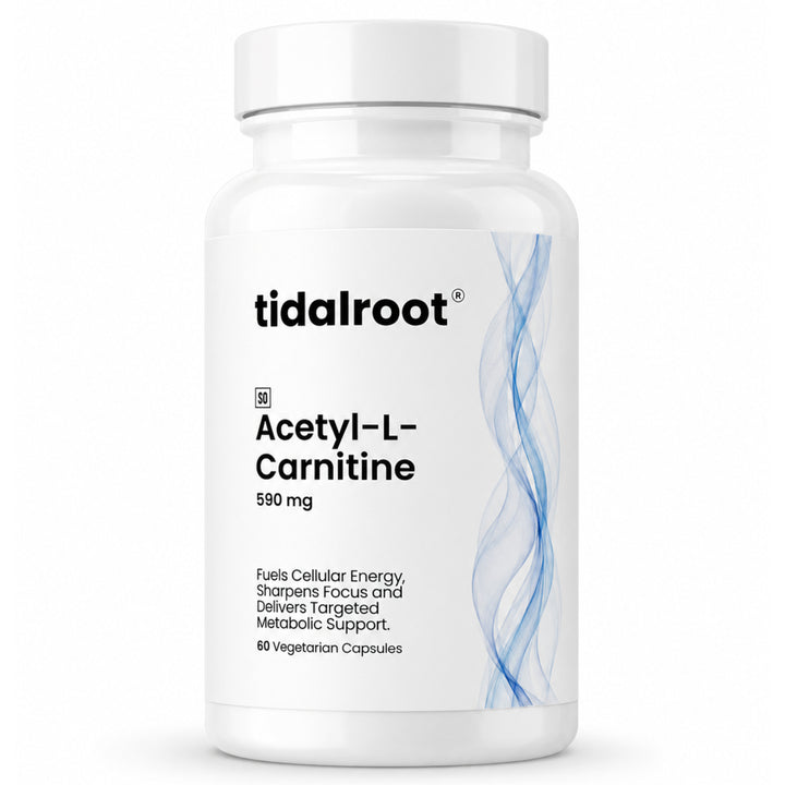 Acetyl-L-Carnitine 590 mg - 60 Vegetarian Capsules